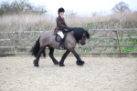 SBM_006292