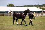 SBM_17935