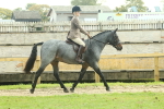 SBM_62581