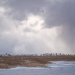 SNOW SQUALL #3, LAKE ERIE - NORFOLK COUNTY