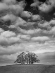 Teenley Hill 07
