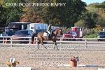 BPP_9572