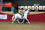 SBM_05303
