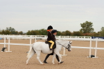 SBM_16483