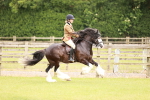 SBM_06192