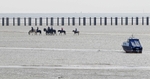 HORSES ON THE BEACH