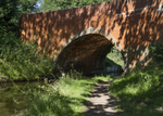 Dappled Bridge 65