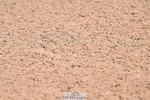260812-104752-00209