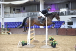 Class 11 - Senior Foxhunter - 1.20m Open portfolio