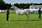 SBM_01045