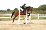 SBM_004929