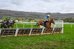 161125-Race 1-Astelia-5566