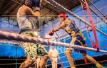 Boxing_Guernsey v Manchester-44
