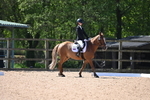 WJ6_8986