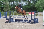 BPP_2377