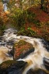 Thundering-through-Autumn