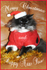 Merry Christmas!