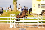 240628A-200306-01194