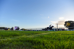 300926-Race 8-Jojo Rabbit-8317