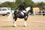 SBM_007517