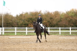 SBM_000785
