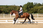 SBM_003746