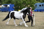 WJ6_6515