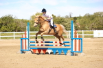 SBM_002673