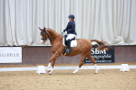 SBM_002364