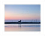 Best of North Norfolk portfolio