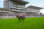 230824-Race 4-Bradsell-9050