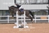 BPP_3279