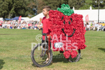 North Show 2017-51