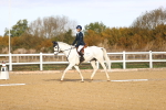 SBM_009021