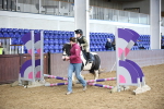 SBM_000230