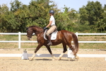 SBM_012034