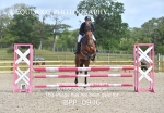 BPP_0946