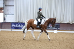 SBM_001203
