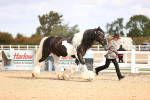 SBM_09286