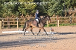 BPP_7934