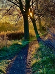 Sunrise Path