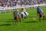 220825-Race 5-Cape Flora-7656