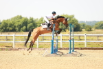 SBM_001871