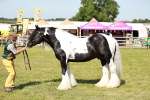 SBM_08855