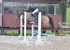BPP_9630