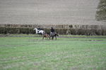 WJ5_4258