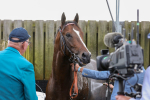 230824-Race 4-Bradsell-8441