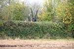 WJ6_7564