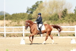 SBM_017029