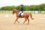SBM_004703
